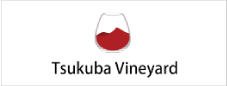 Tsukuba Vineyard